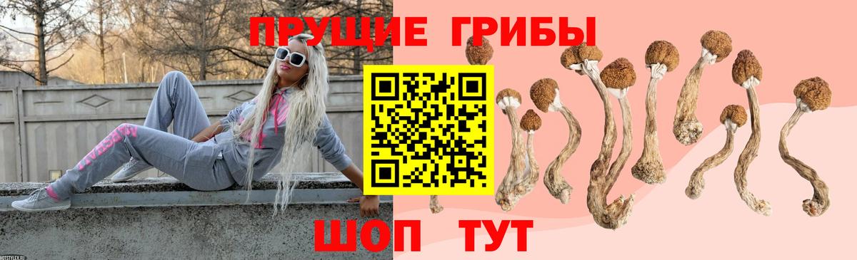 Дзержинск  Галлюциногенные грибы мухоморы  Вход с VPN 