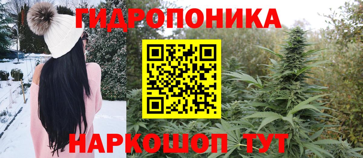 Шишки марихуана планчик Дзержинск